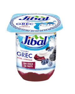 Jibal Yaourt Grec Mure Myrtille 110G