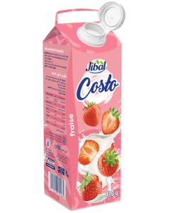 Jibal Costo Yaourt à Boire fraise 430g