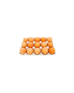 Pack oeufs 15 pieces