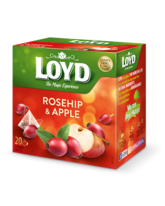 Loyd assortiment de thés canneberge et gingembre 20 sachets