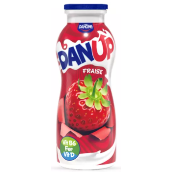 Dan Up Fraise 170G