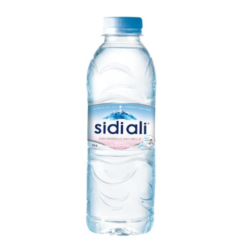 Sidi Ali Eau Minérale 33cl