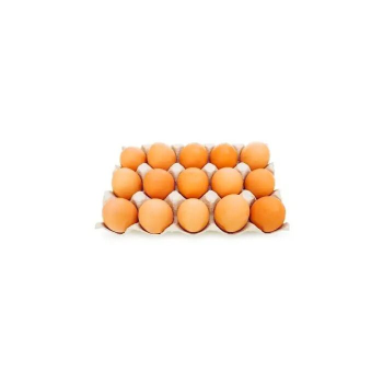Pack oeufs 15 pieces