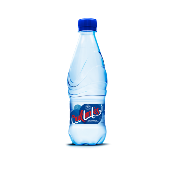 Oulmès Eau Minérale Gazeuse 33Cl